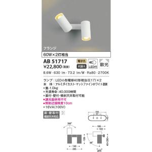 AB51717 コイズミ照明 LEDブラケットライト 電球色 散光 直付・壁付取付｜nagamono-taroto