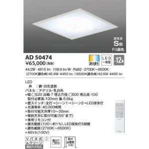 OX9712LDR オーデリック LEDシーリングライト[調光・調色](〜8畳