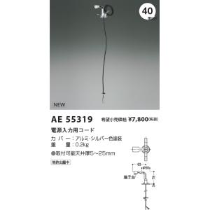 【5/12ポイント最大17％】AE55319 コイズミ照明 電源入力用コード 埋込穴φ40【適合機具注意】｜nagamono-taroto