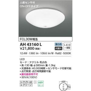 ODELIC（オーデリック） レール用ペンダントライト 大谷石 LED 電球色