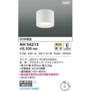 OL291348BCR オーデリック LEDシーリングライト アクアシリーズ 水面