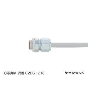 Z-DC54 ネグロス ダクタークリップ(溶融亜鉛めっき仕上げ、10個入