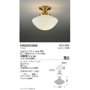 ERP7501W 遠藤照明 リングペンダント【ランプ別売】 : タロトデンキ