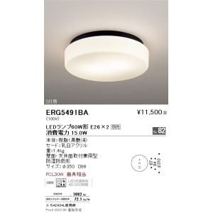 ERP7485W 遠藤照明 ペンダント プラグ【ランプ別売】 : タロトデンキ