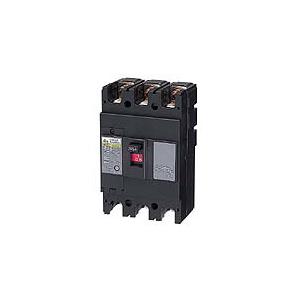 日東工業 漏電ブレーカ GE103CA 3P 100A F100（表面形