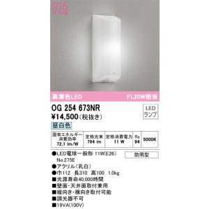 ODELIC OG254673# 1灯用照明器具　ポーチライト ODELIC（オーデリック） 安心のメーカー保証 OG254673NR（ランプ別梱包