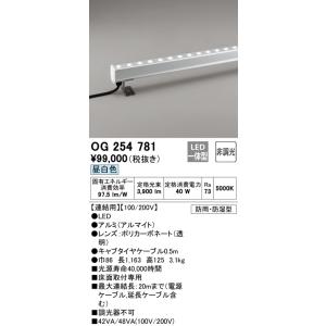 【6/9ポイント最大22％】OG254781 オーデリック 屋外用LED間接照明 連結用 床面取付専用 昼白色｜nagamono-taroto