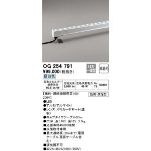 【6/9ポイント最大22％】OG254791 オーデリック 屋外用LED間接照明 単体・連結端部用 床面取付専用 昼白色｜nagamono-taroto