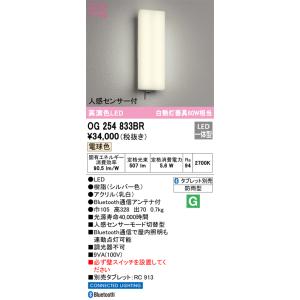 Panasonic（パナソニック） LED非常灯 NNCF23135JLE9（NNCF23135J LE9