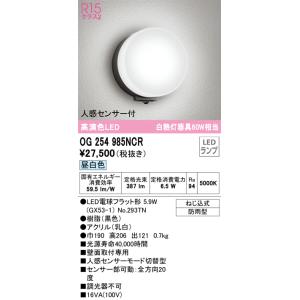 大光電機 大光 DWP-42193Y LEDアウトドアライト 軒下シーリング 人感