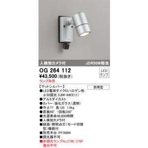 ODELIC（オーデリック） 屋外用スポットライト カメラ付 センサー付