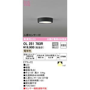 OL251858R オーデリック LED小型シーリングライト 温白色【OL251858の