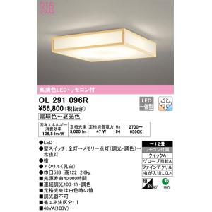 Panasonic（パナソニック） 【関東限定販売】オーデリック「OL291022R