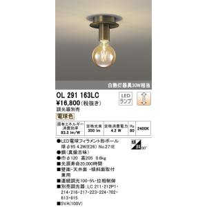 OL251360R オーデリック LED小型シーリングライト 電球色【OL251360の