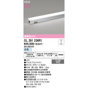 OL291236R1 オーデリック LED間接照明 調光 白色【調光器別売】