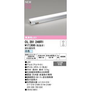 OL291246R1 オーデリック LED間接照明 調光 白色【調光器別売】
