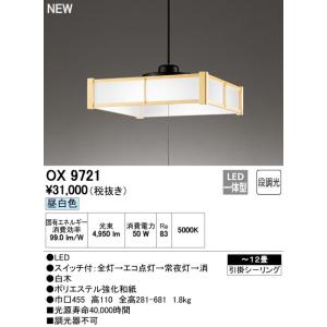 ウシオ電機 USHIO スタジオ用ハロゲンランプ JCS 110V