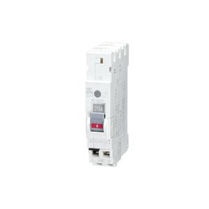 【数量限定】日東工業 スリム漏電ブレーカ 協約サイズ GX52A 2P 30A Amazon | 日東工業 スリム漏電ブレーカ 協約サイズ GX52A 2P 30A F30