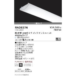 Panasonic（パナソニック） 水銀灯用安定器 （200V用 低始動電流型 1灯