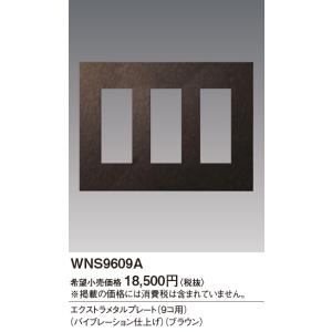 WNS9609A パナソニック SO-STYLEエクストラメタルP9コ用