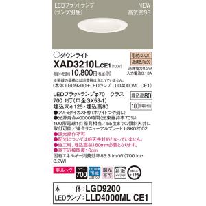 Panasonic（パナソニック） LGDC3104LLE1 電球色 ダウンライト FreePa