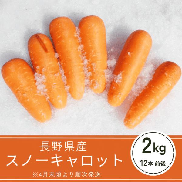 送料込 スノーキャロット(2kg箱)※4月下旬〜5月上旬発送予定