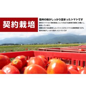 トマトジュース 食塩無添加 ストレート 国産 ...の詳細画像3