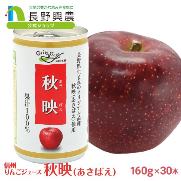 りんごジュース ストレート 缶 長野 100% 長野興農 秋映りんごジュース 160g/30本入