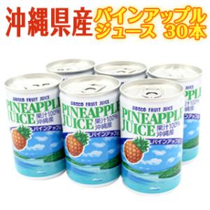 パイナップルジュース 缶 ストレート 長野興農 ふるさとのパインアップルジュース 160g/30本入｜naganokono-shop