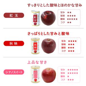 りんごジュース ストレート 信州りんごジュース...の詳細画像3