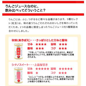 リンゴ ジュース ストレート 信州りんごジュー...の詳細画像5