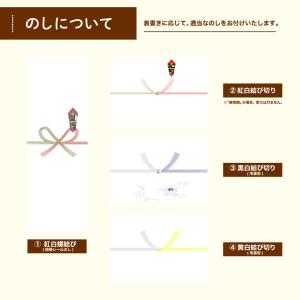 リンゴ ジュース ストレート 信州りんごジュー...の詳細画像1