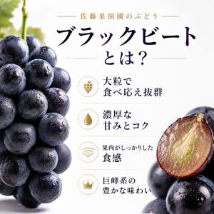 【予約販売開始】長野県産 【高級黒ぶどう】ブラ...の詳細画像2