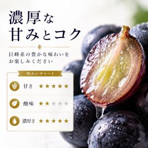 【予約販売開始】長野県産 【高級黒ぶどう】ブラ...の詳細画像4