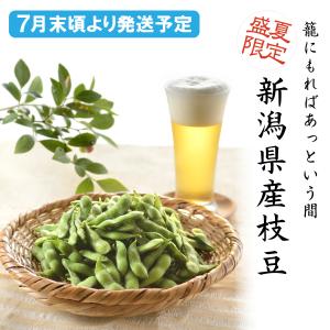 ZO-330「7月下旬頃から出荷開始予定」新潟県産枝豆 １kg入り