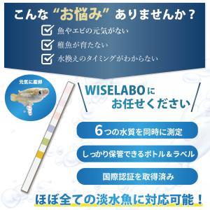 WISELABO アクアリウム 水質テスト 6...の詳細画像2