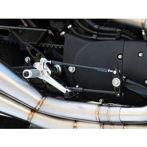 BabyFace シフトスピンドルホルダー SUZUKI GSX