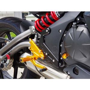 ＢａｂｙＦａｃｅ　ＳＴＥＰ　ＫＩＴ　ＫＡＷＡＳＡＫＩ　Ninja650