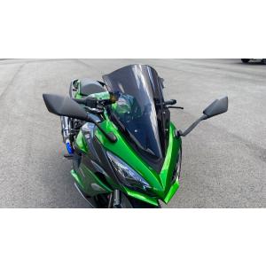 Puig（プーチ） Puig 20471H RACING-SCREEN [SMOKE] Kawasaki Ninja