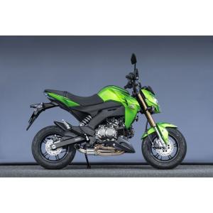 YAMAMOTO RACING（ヤマモトレーシング） 16〜 Z125 PRO