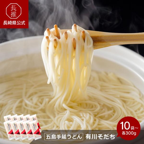 【ポイント5倍4/17 0：00〜4/19 23:59】【長崎県公式】五島手延うどん　有川そだち 1...