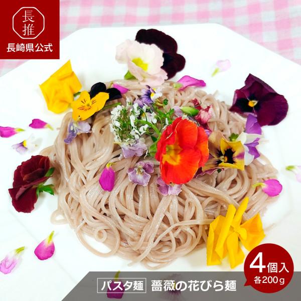 【ポイント5倍4/17 0：00〜4/19 23:59】【長崎県公式】島原手延べ麺レーベン 島原手延...