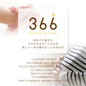 一升餅 セット〈366〉 一生餅 お祝い 名前...の詳細画像1