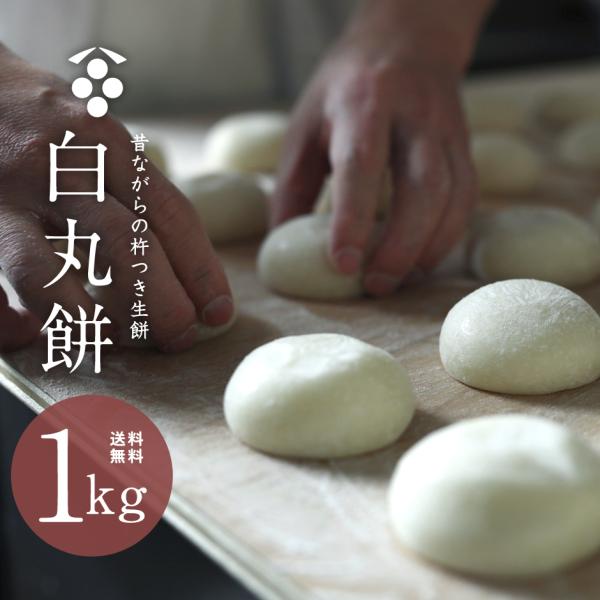 餅 お餅 送料無料 もち 丸餅 白餅 つきたて 杵つき 小餅 無添加 お雑煮 きな粉餅 餅まき お正...