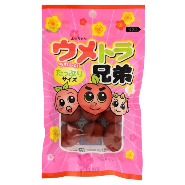 よっちゃん食品工業 ウメトラ兄弟袋 45g×10袋