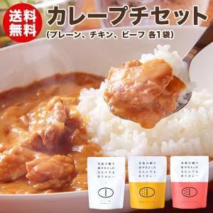 カレー レトルトカレー 詰め合わせ ごとのカレープチセット プレーン チキンカレー ビーフカレー 3種セット｜nagasakigoto