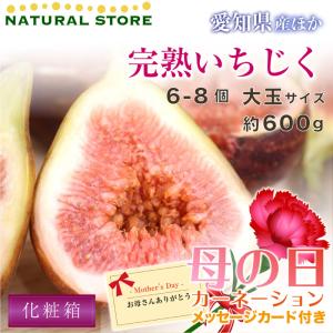 [予約 5月8日-5月14日の納品] 母の日 完熟いちじく イチジク 大玉 2パック 無花果 化粧箱 いちじく