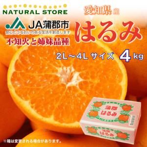 [最短順次発送]  はるみ 4kg 2L 3L 4L大玉サイズ はるみみかん柑橘 蒲郡産 ギフト