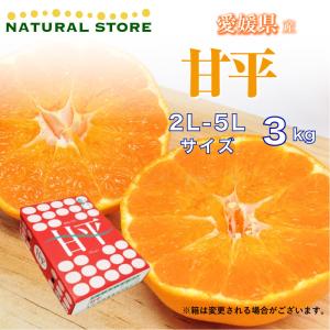 【予約 2月1日以降 今季分出荷開始後より順次発送】甘平 3kg 化粧箱 2L-5L 大玉 愛媛県産 最上級品！ みかん かんぺい
