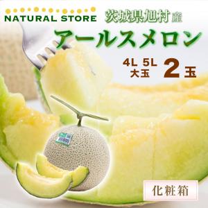 茨城メロン5lの商品一覧 通販 Yahoo ショッピング